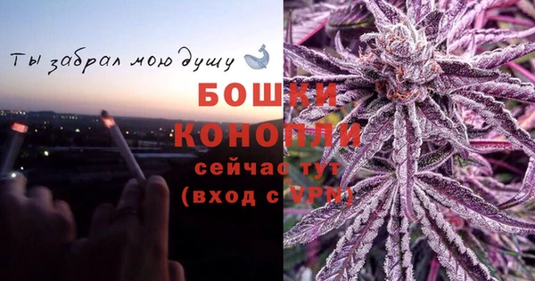 гидропоника Осинники