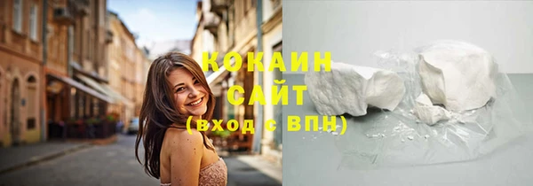 эйфоретик Няндома