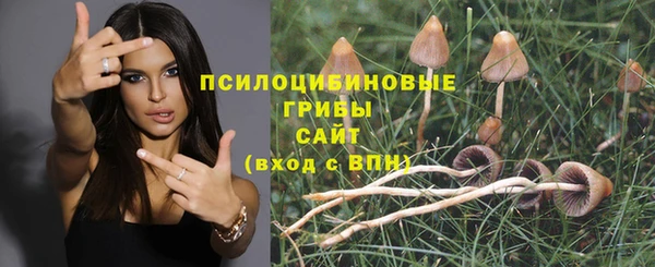 эйфоретик Няндома