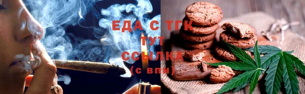 эйфоретик Няндома