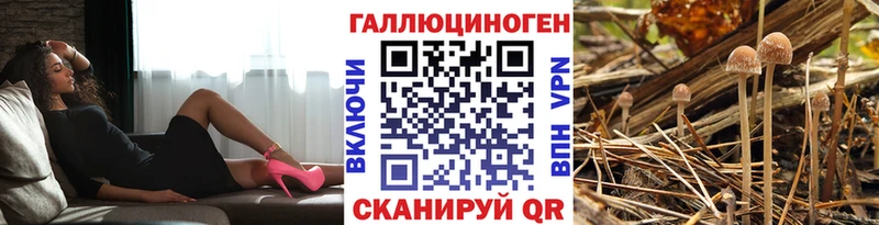 ссылка на мегу как войти  купить наркотики цена  Сафоново  Галлюциногенные грибы Psilocybine cubensis 