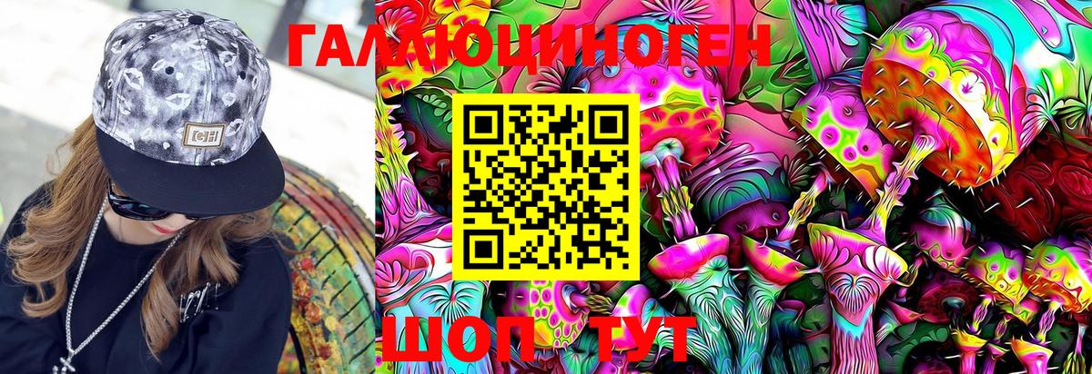 Псилоцибиновые грибы Psilocybe  хочу   Галлюциногенные грибы мухоморы  Сафоново 