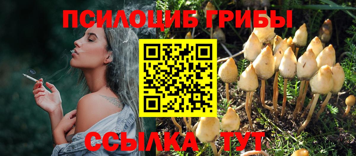 Галлюциногенные грибы мухоморы Сафоново