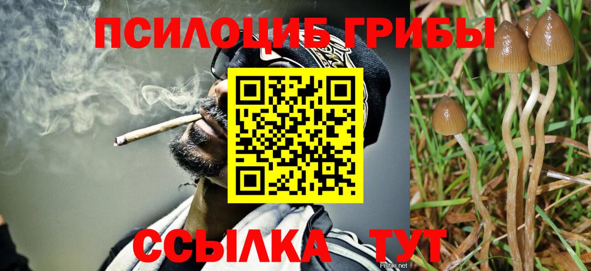 Сафоново  Псилоцибиновые грибы GOLDEN TEACHER  Псилоцибиновые грибы мухоморы  Вход с VPN 